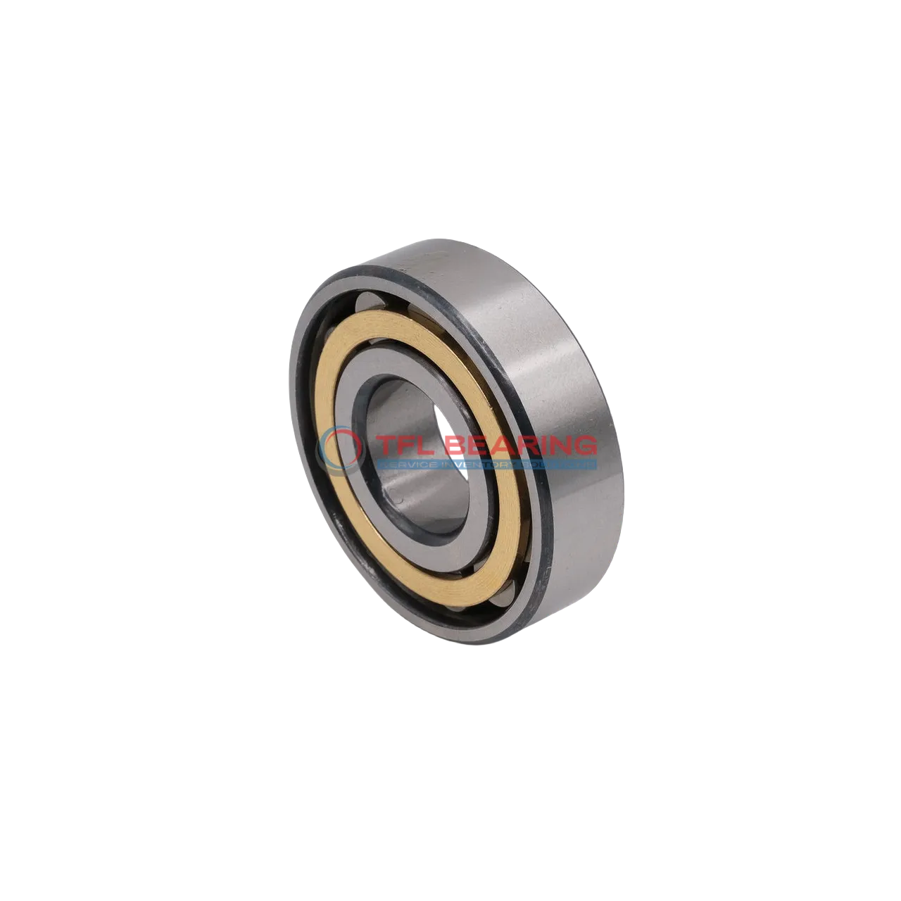 Single Row Cylindrical Roller Bearings With Inner Ring 319301